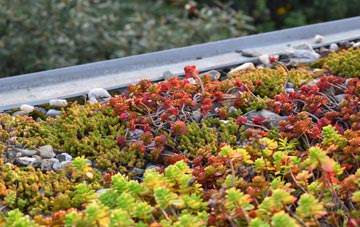 the cost of Spring Grove green roof installation